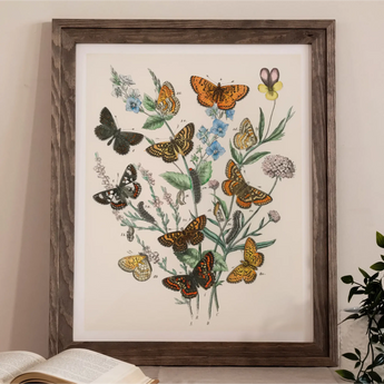 Colorful illustration of various butterfly species among flowering plants.