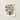 Illustration of various butterflies framed, inspired by the work of William Forsell Kirby.