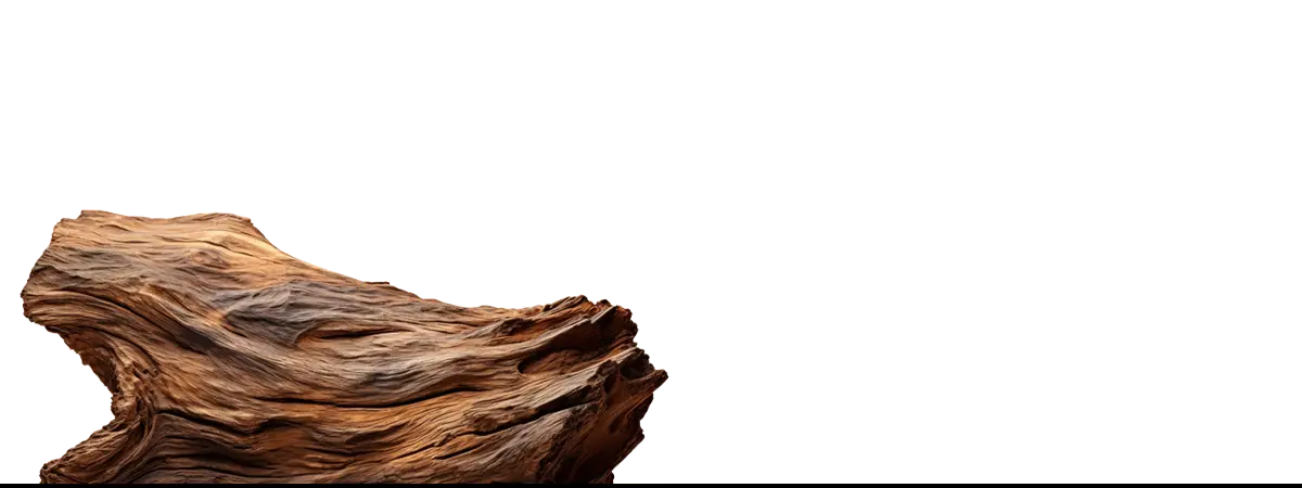 Weathered driftwood resembling trippy tree trunk, perfect as framed abstract artwork for botanical op art enthusiasts