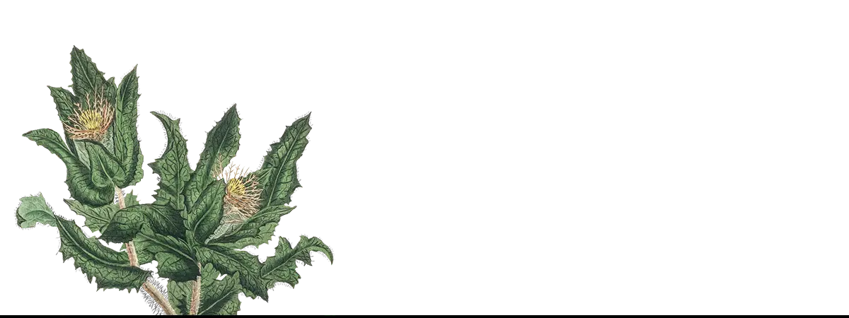 Prickly green plant with yellow flowers on textile art iPhone case for art iPhone enthusiasts