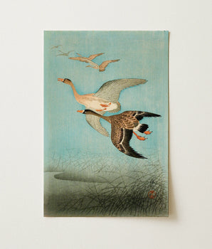 Oies en vol - Impression d'art d'Ohara Koson 