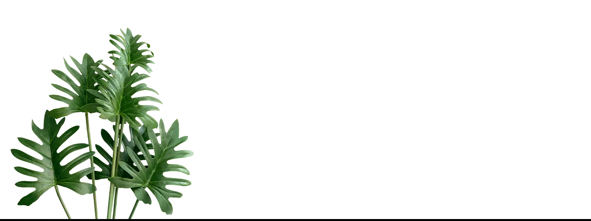 Lush green philodendron leaves as botanical op art framed abstract artwork for trippy tree trunk design