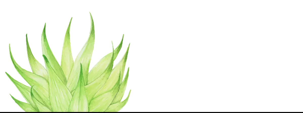 Green spiky succulent, a striking botanical op art piece in framed abstract artwork style