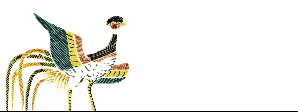 Colorful stylized bird art on iPhone cases for unique Art iPhone case designs