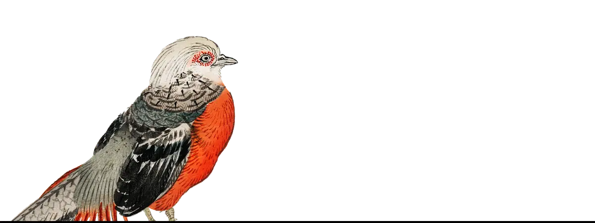 Colorful bird perched art print by Taguchi Tomoki featuring Kōno Bairei style for history fans