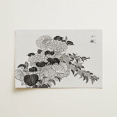 Japanese Hydrangea - Tachibana Yasukuni Art Print