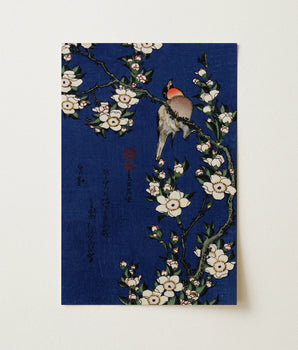 Bullfinch and Weeping Cherry Blossoms - Katsushika Hokusai Fine Art Print / Canvas Traditional Japanese Woodblock Bird Perched Branches