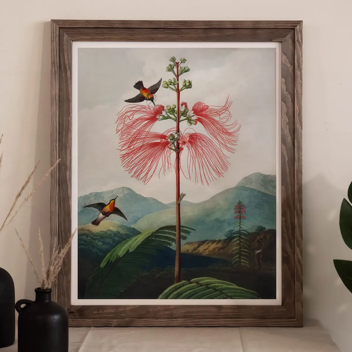 Framed botanical print with birds from Robert John Thornton’s Temple of Flora.