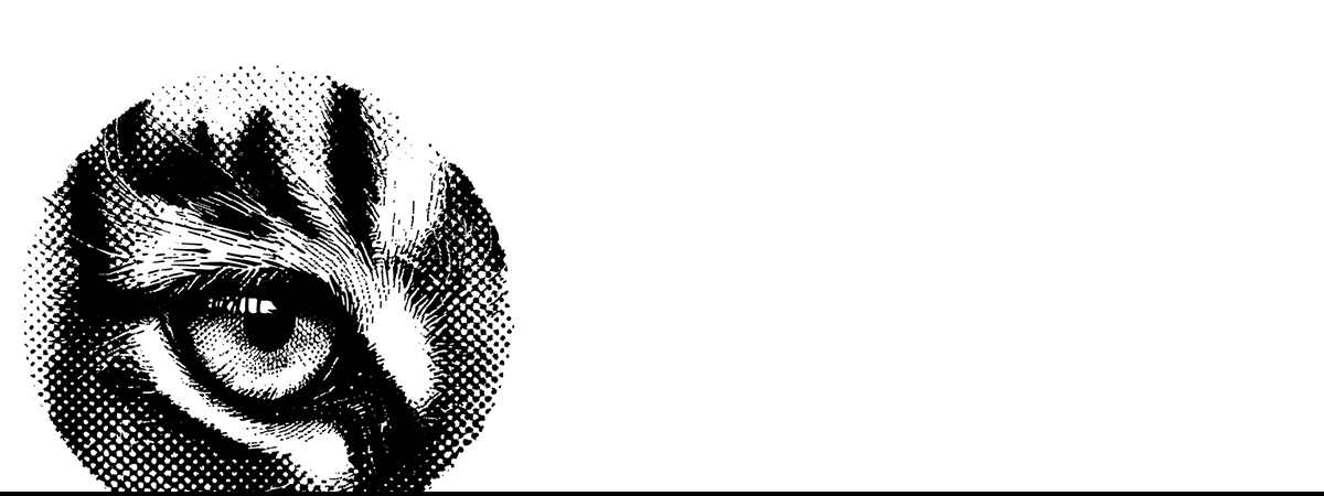 Solid black void iphone case showcasing sleek modern art design for iPhone cases