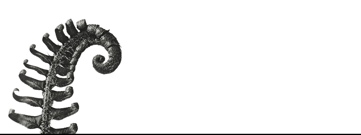 Coiled spiky metallic tail on a sleek black and white iPhone case for modern art lovers