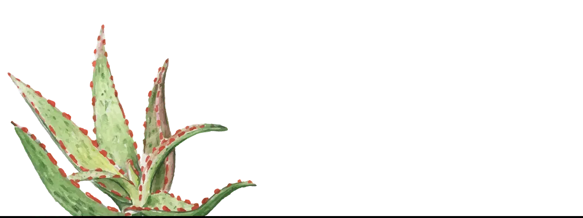 Aloe vera plant with red spines, showcasing botanical op art in framed abstract artwork