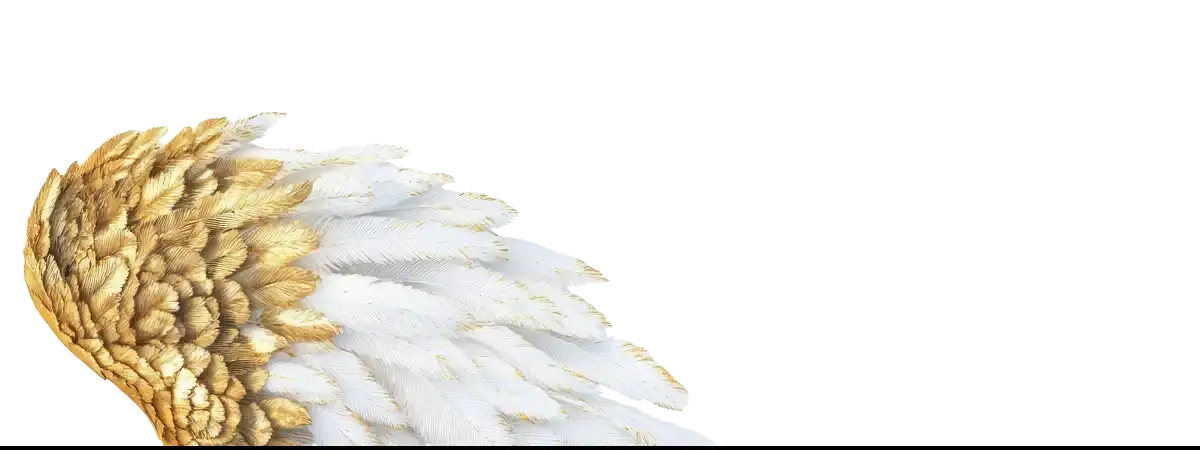 Golden and white feathered wing representing Sascha Schneider’s symbolism at Schwules Museum