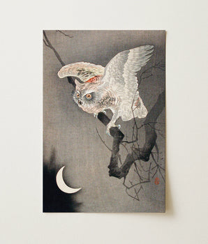 Petit-duc au clair de lune - impression d’art d’Ohara Koson 