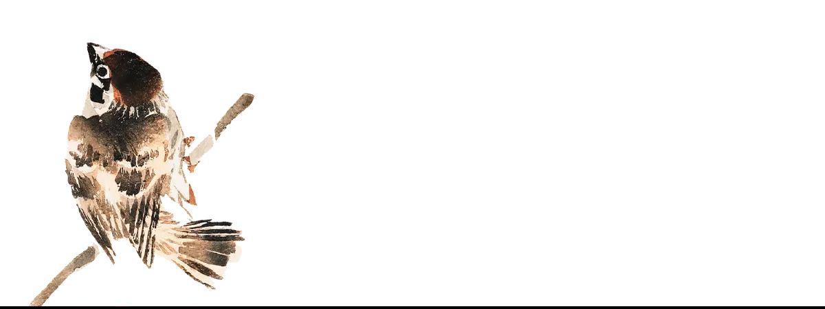 Perched brown bird on art iPhone case showcasing unique bird art iPhone cases