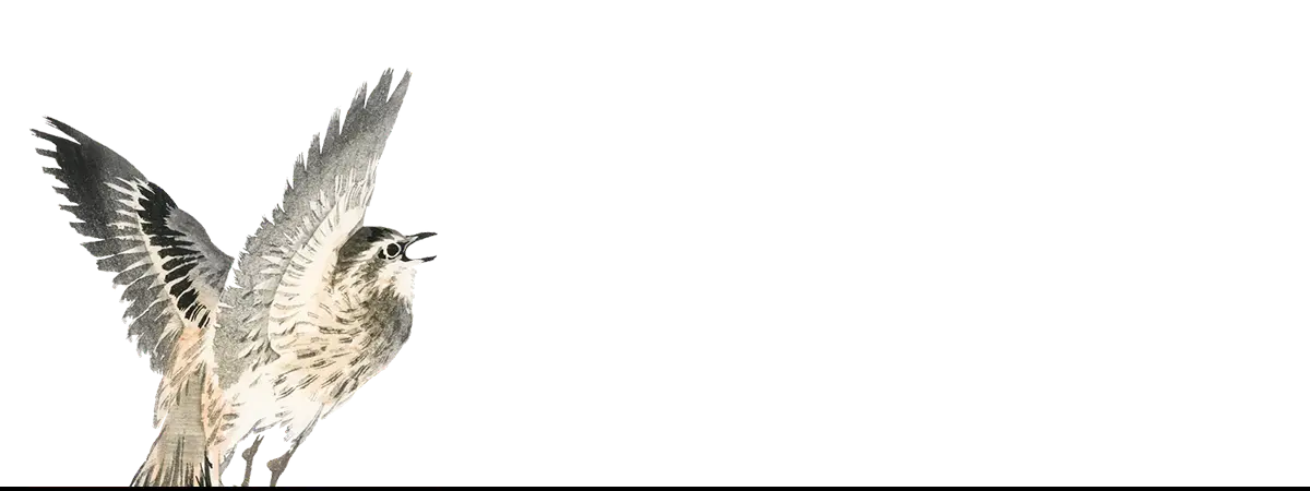 Bird with outstretched wings art print by Taguchi Tomoki from Kōno Bairei collection