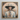 Thuanthong - Thai Transgender Cowboy Framed Canvas, 12x12’’ / 31x31cm / Natural Floating Frame, Framed Portrait Painting Person