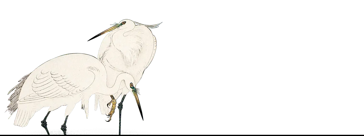 Three white egrets art print inspired by Kōno Bairei by Taguchi Tomoki