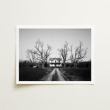 Abandoned Home in Rural Maryland - Carol M. Highsmith Art Print / Canvas, Clapboard House, Prints
