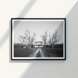 Black-framed Black-and-white Photographic Print Farmhouse Dirt Road Flanked Highsmith Art, Clapboard House, Abandoned Home