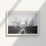 Minimalist Light Wood-framed Black White Photograph Farmhouse Dirt Highsmith Art Print, Clapboard House, Abandoned Home