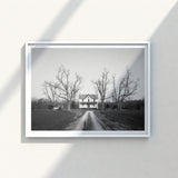 Minimalist White-framed Black-and-white Photograph Rustic Farmhouse Surrounded Bare Highsmith Art Print, Clapboard House, Abandoned Home