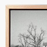 Light Wood-framed Canvas Print Black-and-white Bare Tree Branches Highsmith Art, Clapboard House, Abandoned Home