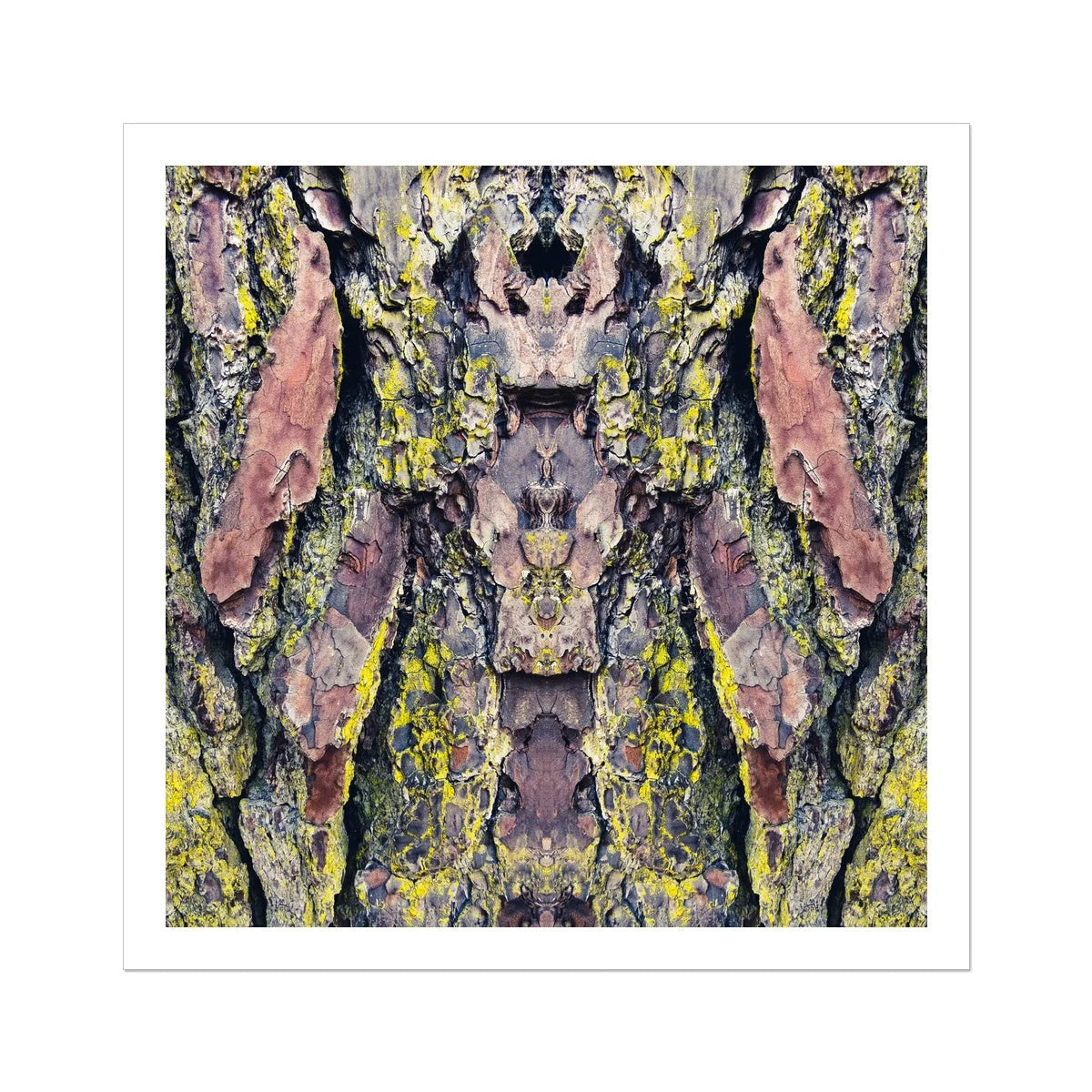 Barking Mad too - Trippy Tree Trunk Art Print 30’’x30’’ Posters Prints & Visual Artwork