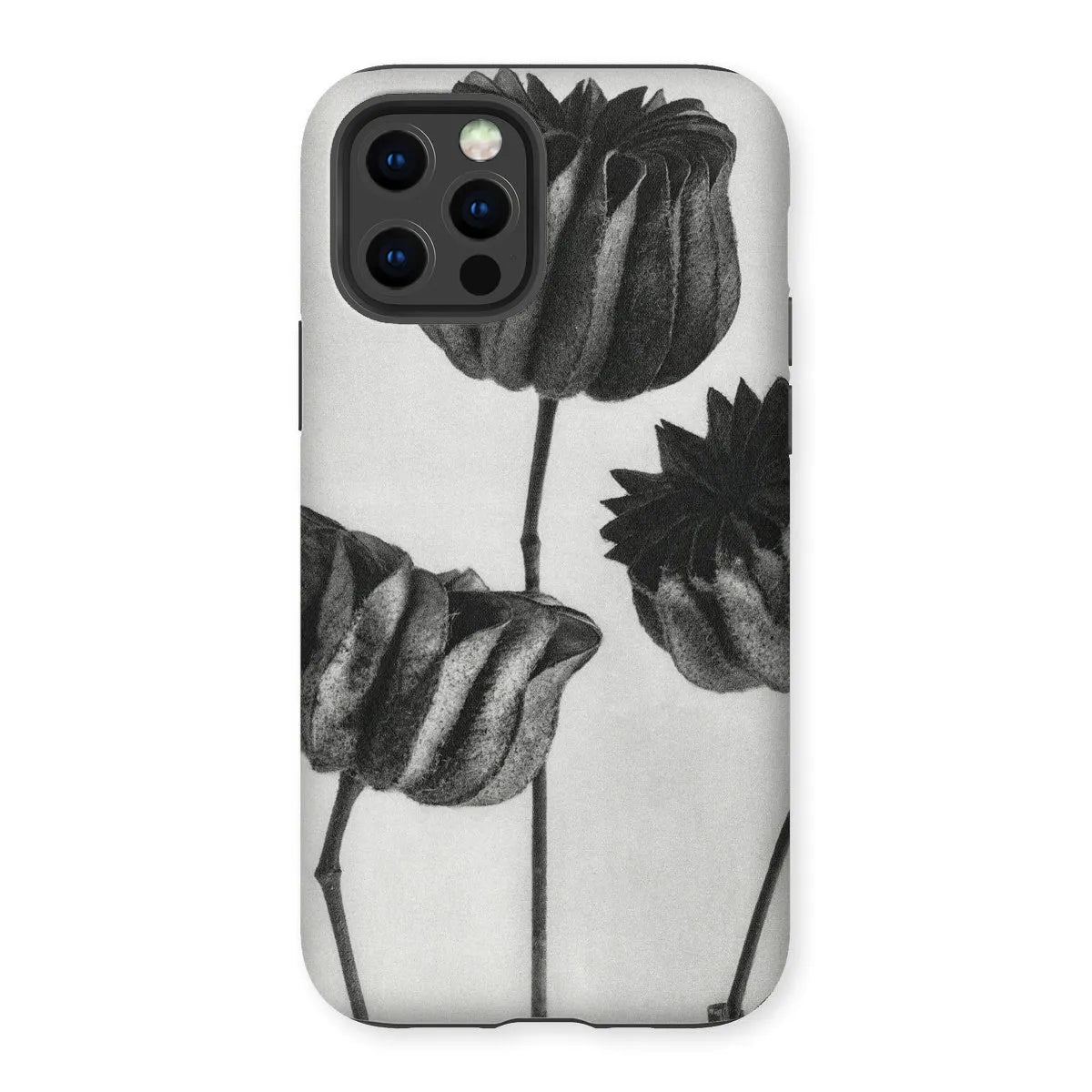 Abutilon (lime Mallow) Pod By Karl Blossfeldt Art Phone Case - Iphone 12 Pro / Matte - Mobile Phone Cases - Aesthetic