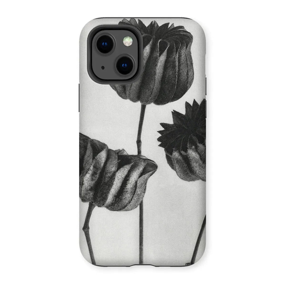 Abutilon (lime Mallow) Pod By Karl Blossfeldt Art Phone Case - Iphone 13 / Matte - Mobile Phone Cases - Aesthetic Art