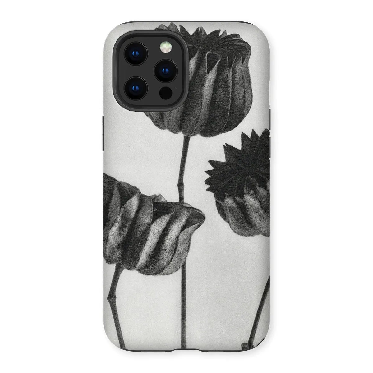 Abutilon (lime Mallow) Pod By Karl Blossfeldt Art Phone Case - Iphone 12 Pro Max / Matte - Mobile Phone Cases