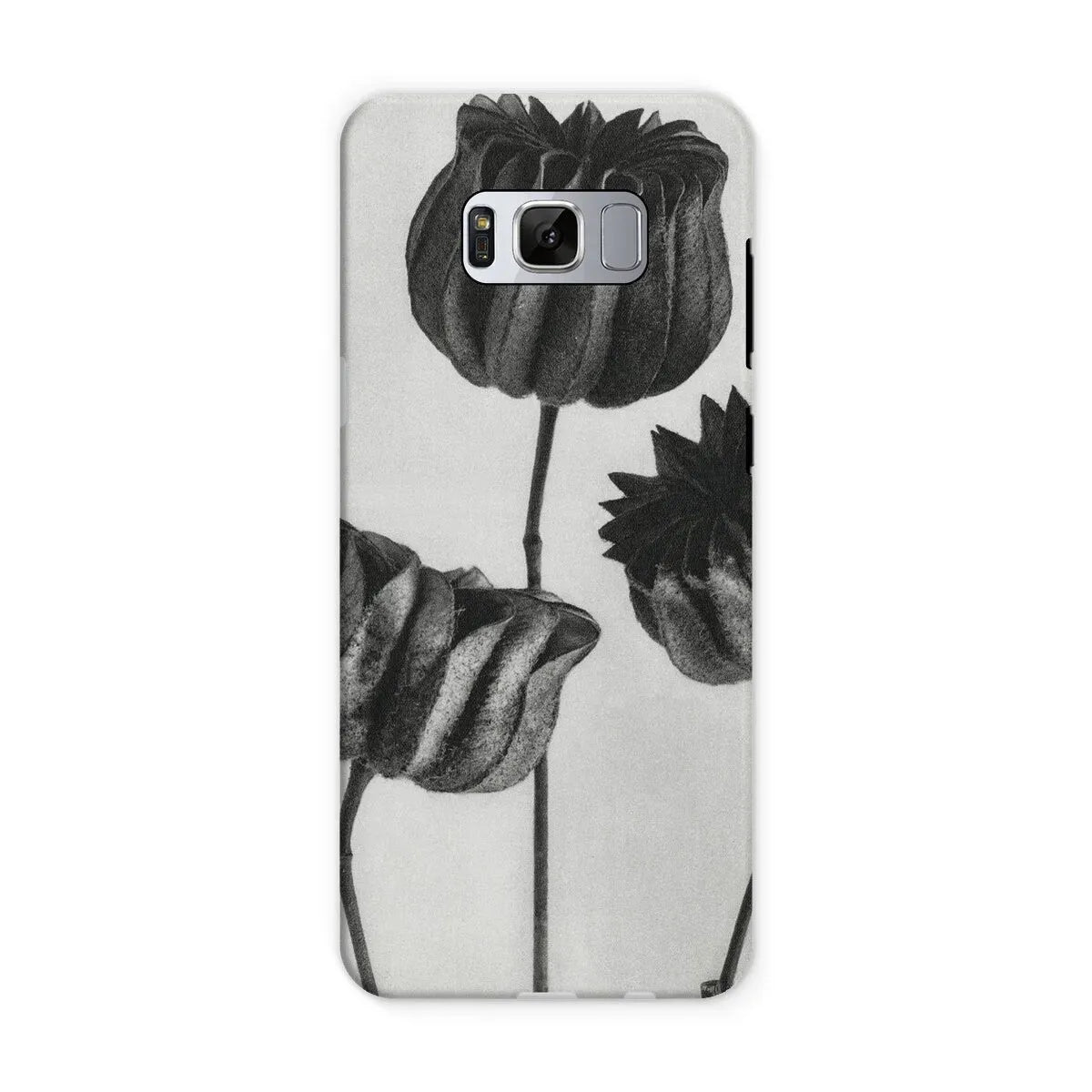 Abutilon (lime Mallow) Pod By Karl Blossfeldt Art Phone Case - Samsung Galaxy S8 / Matte - Mobile Phone Cases