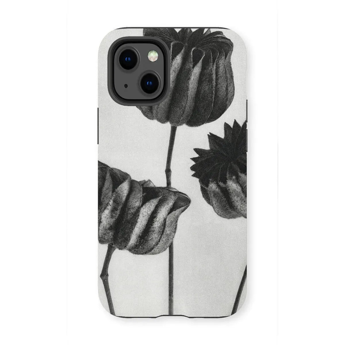 Abutilon (lime Mallow) Pod By Karl Blossfeldt Art Phone Case - Iphone 13 Mini / Matte - Mobile Phone Cases - Aesthetic