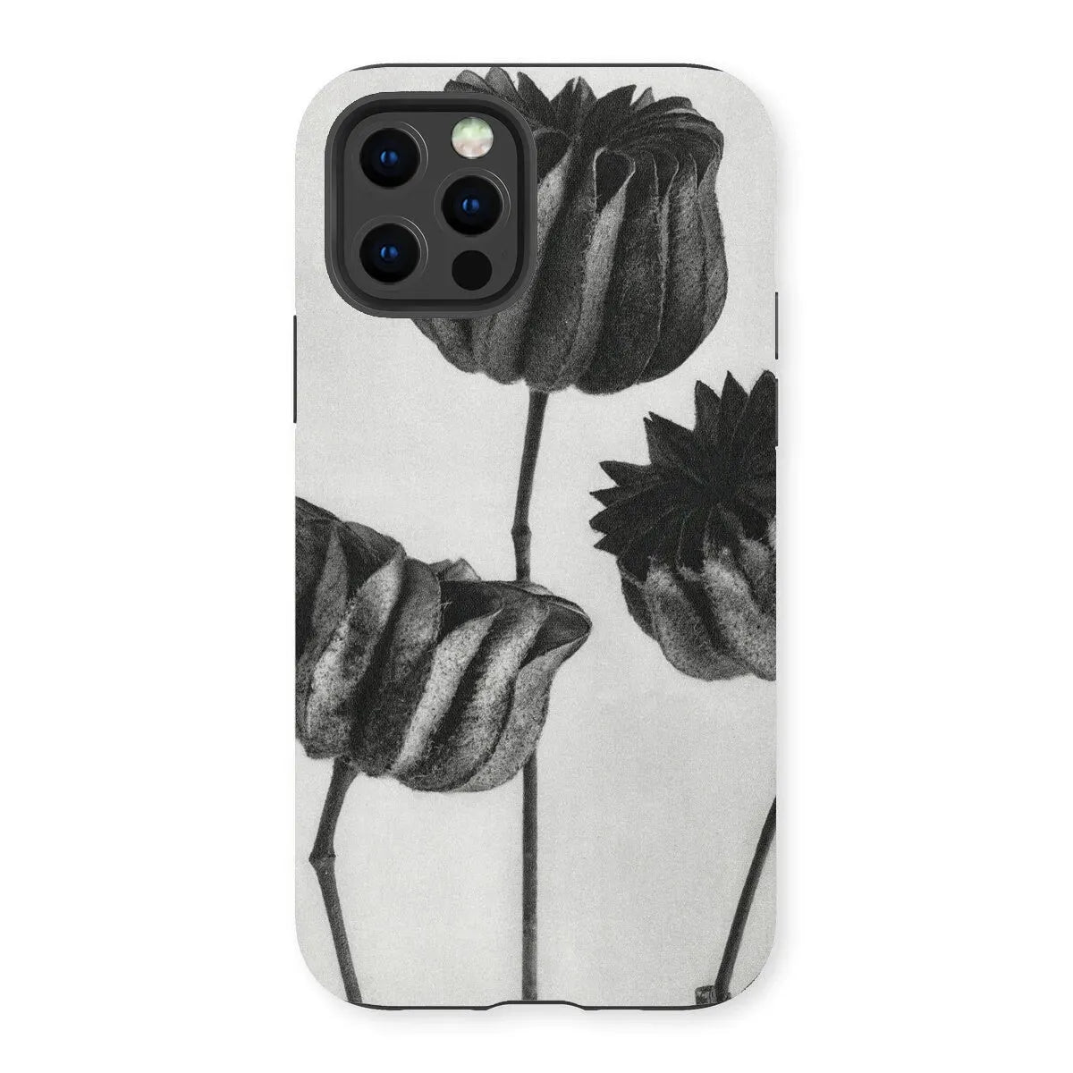 Abutilon (lime Mallow) Pod By Karl Blossfeldt Art Phone Case - Iphone 13 Pro / Matte - Mobile Phone Cases - Aesthetic