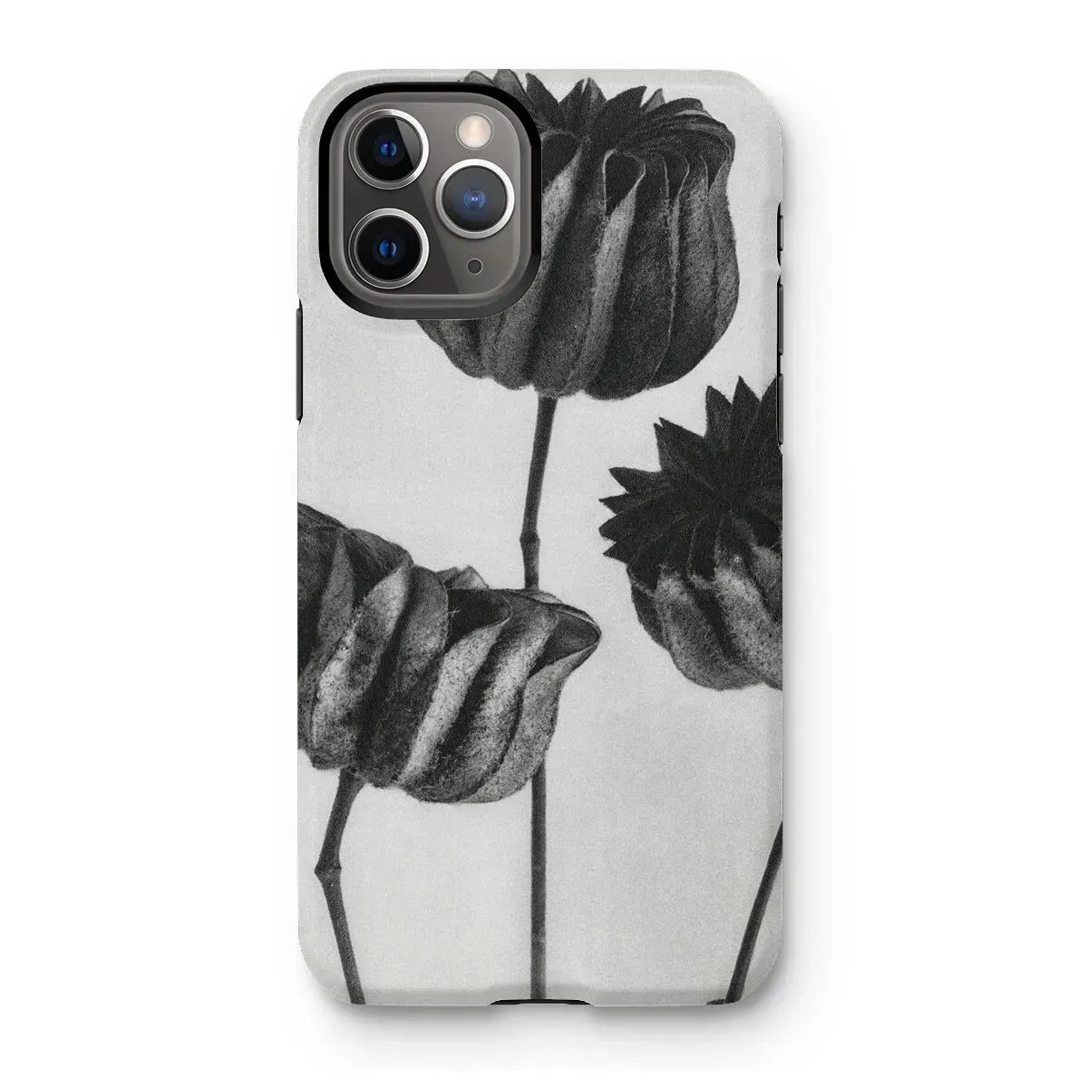 Abutilon (lime Mallow) Pod By Karl Blossfeldt Art Phone Case - Iphone 11 Pro / Matte - Mobile Phone Cases - Aesthetic