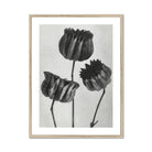 Abutilon (lime Mallow) Pod - Karl Blossfeldt Art Print, Black White Botanical Print Three Tulip Flowers Stems