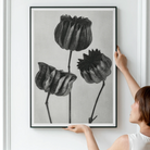 Abutilon (lime Mallow) Pod - Karl Blossfeldt Art Print 24’’x32’’ Posters Prints & Visual Artwork