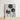 Minimalist Black-and-white Framed Artwork Three Detailed Textured Flower Karl Blossfeldt, Abutilon Pods, Monochromatic Masterpiece