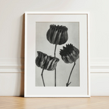 Abutilon (lime Mallow) Pod - Karl Blossfeldt Art Print / Canvas Minimalist White-framed Black-and-white Botanical Print Three Detailed