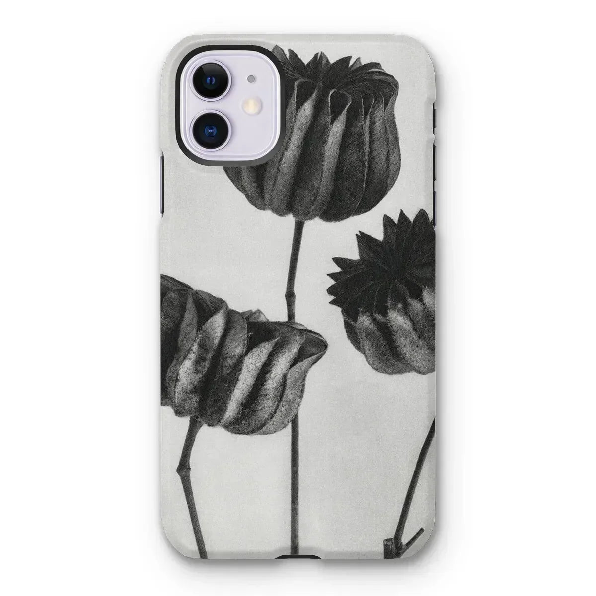 Abutilon (lime Mallow) Pod - Karl Blossfeldt Iphone Case, 11 / Matte, Iphone Case Black White Floral Design Tulips
