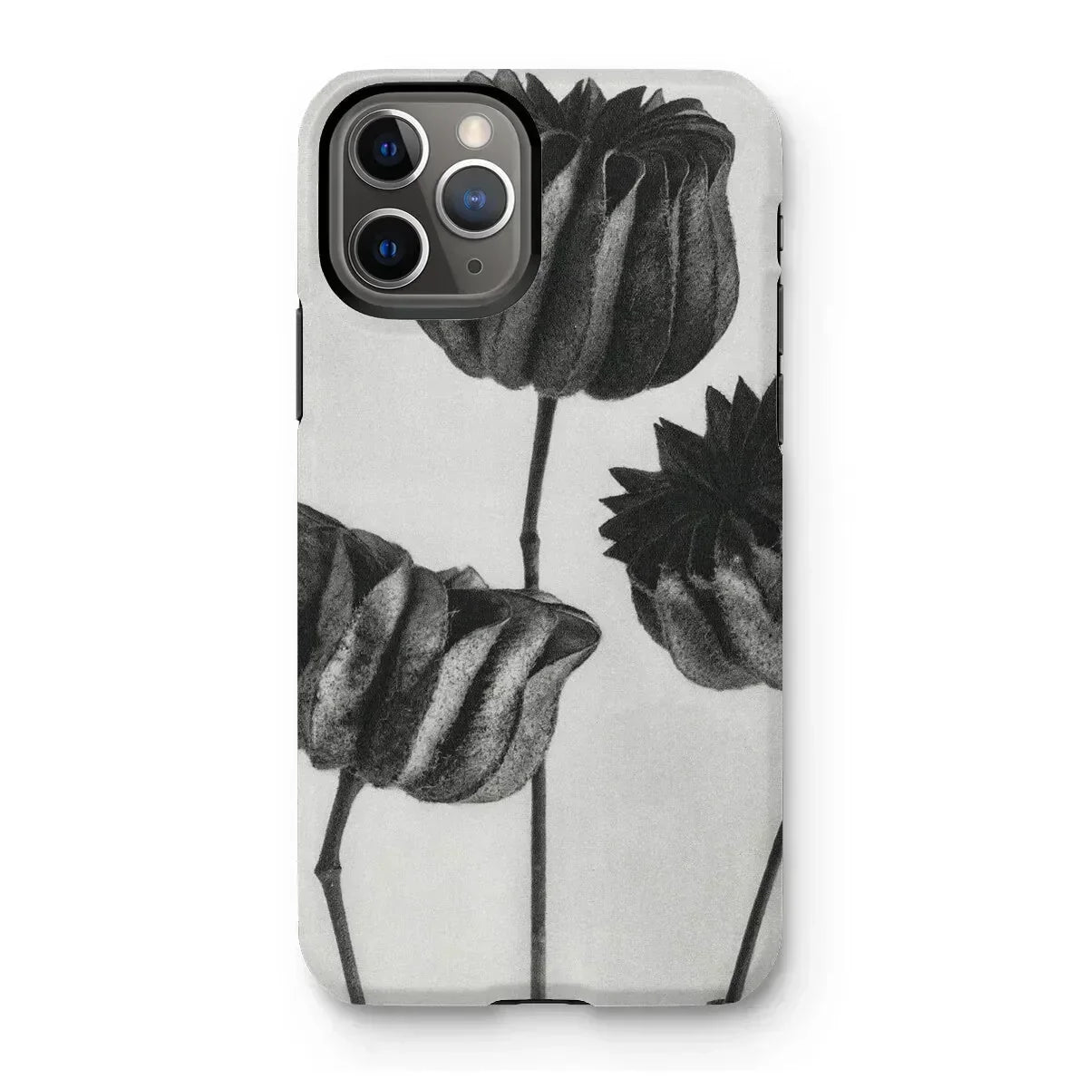 Abutilon (lime Mallow) Pod - Karl Blossfeldt Iphone Case, 11 Pro / Matte, Iphone Case Black White Floral Design Tulip-like Flowers
