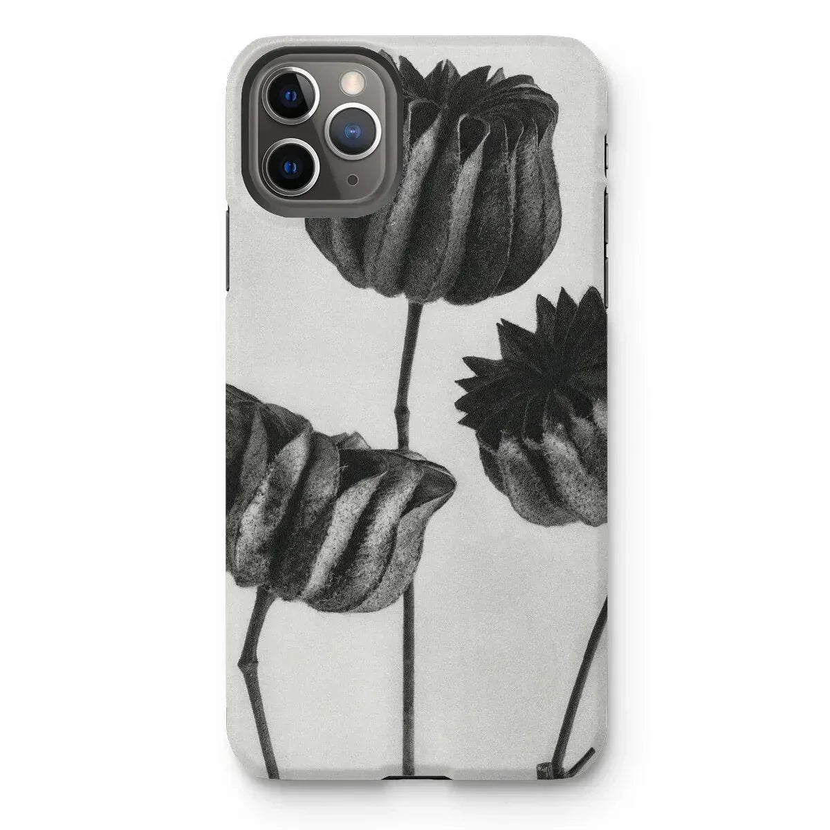 Abutilon (lime Mallow) Pod - Karl Blossfeldt Iphone Case, 11 Pro Max / Matte, Iphone Case Black White Floral Design Tulips