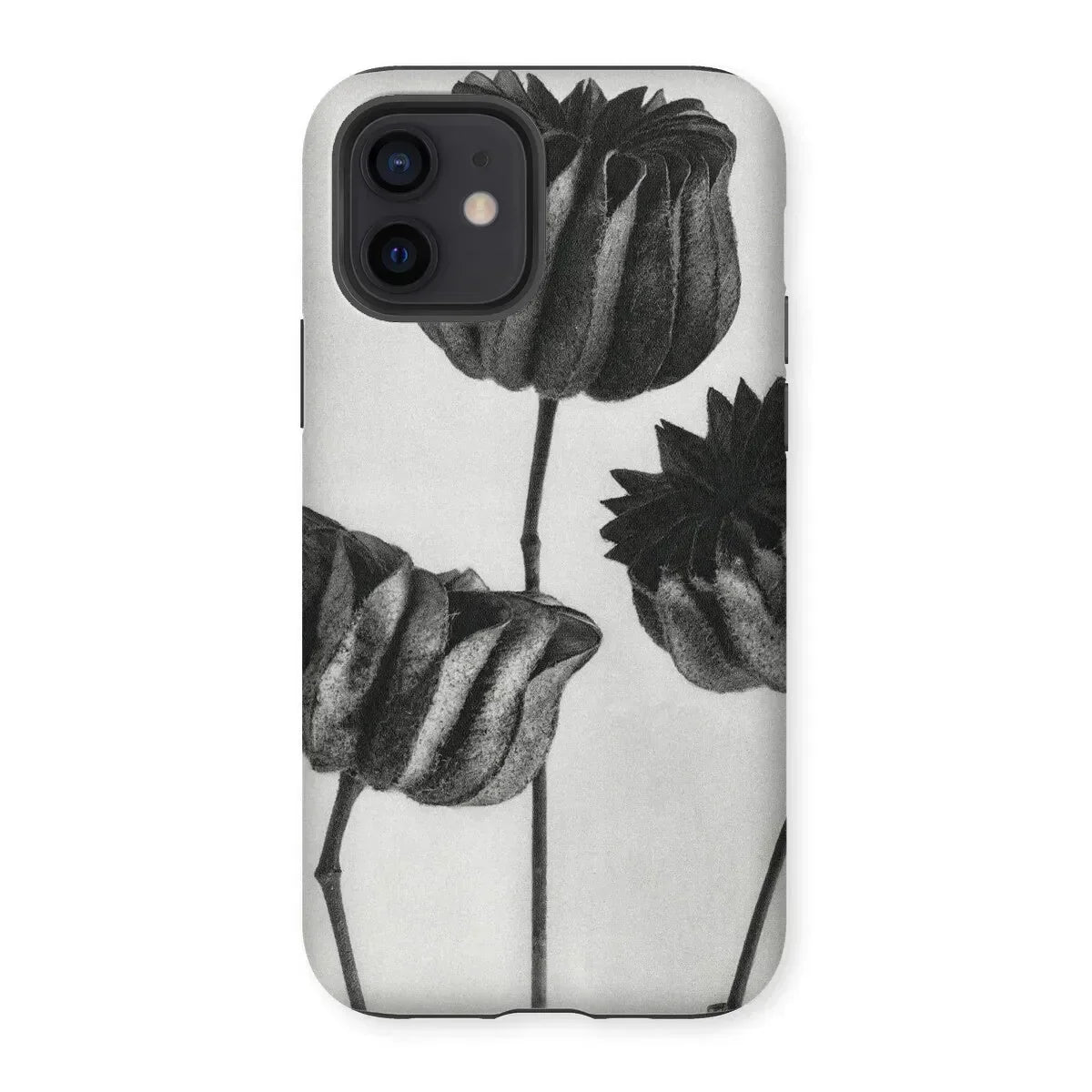 Abutilon (lime Mallow) Pod - Karl Blossfeldt Iphone Case, 12 / Matte, Iphone Case Black White Floral Design Tulips