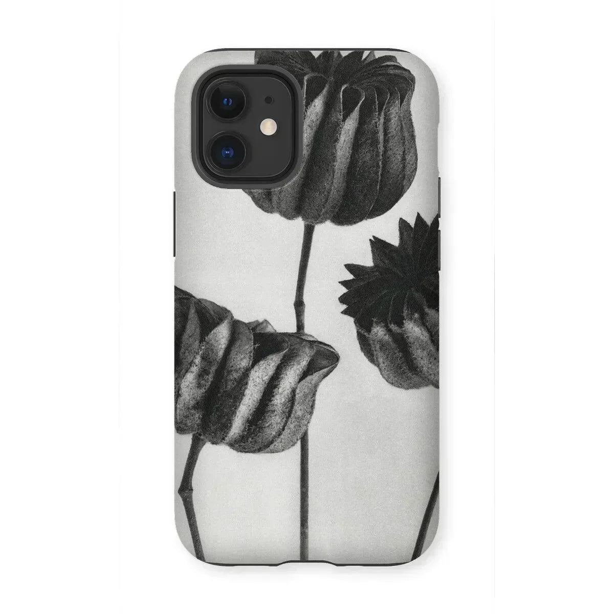 Abutilon (lime Mallow) Pod - Karl Blossfeldt Iphone Case, 12 Mini / Matte, Phone Case Black White Floral Design Tulip-like Flowers