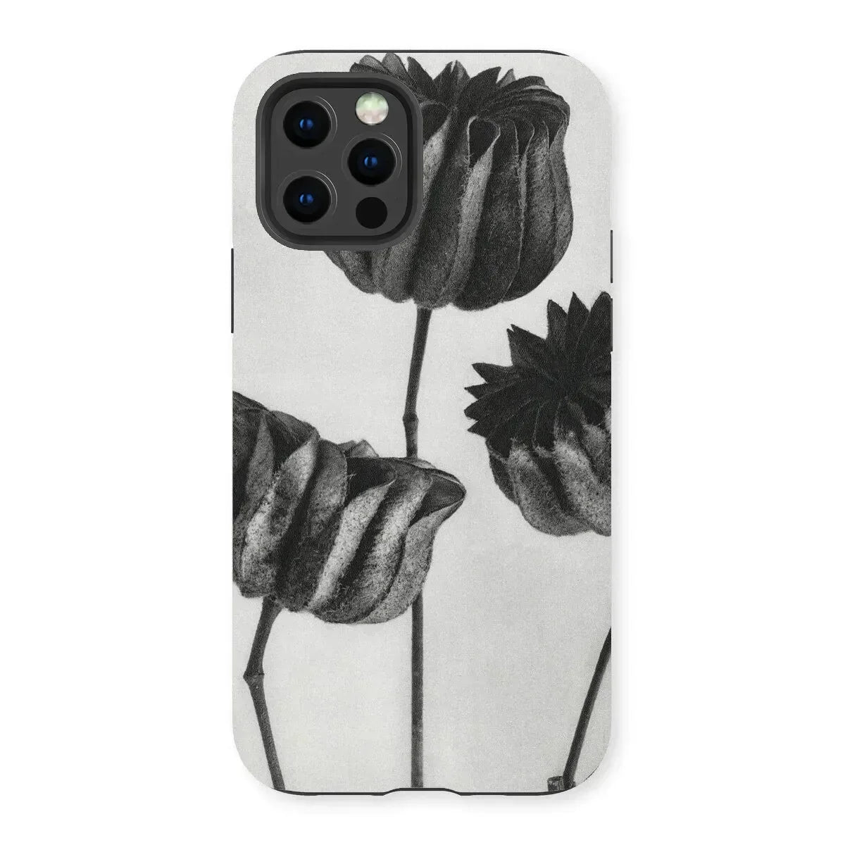 Abutilon (lime Mallow) Pod - Karl Blossfeldt Iphone Case, 13 Pro / Matte, Phone Case Black White Floral Design Tulips