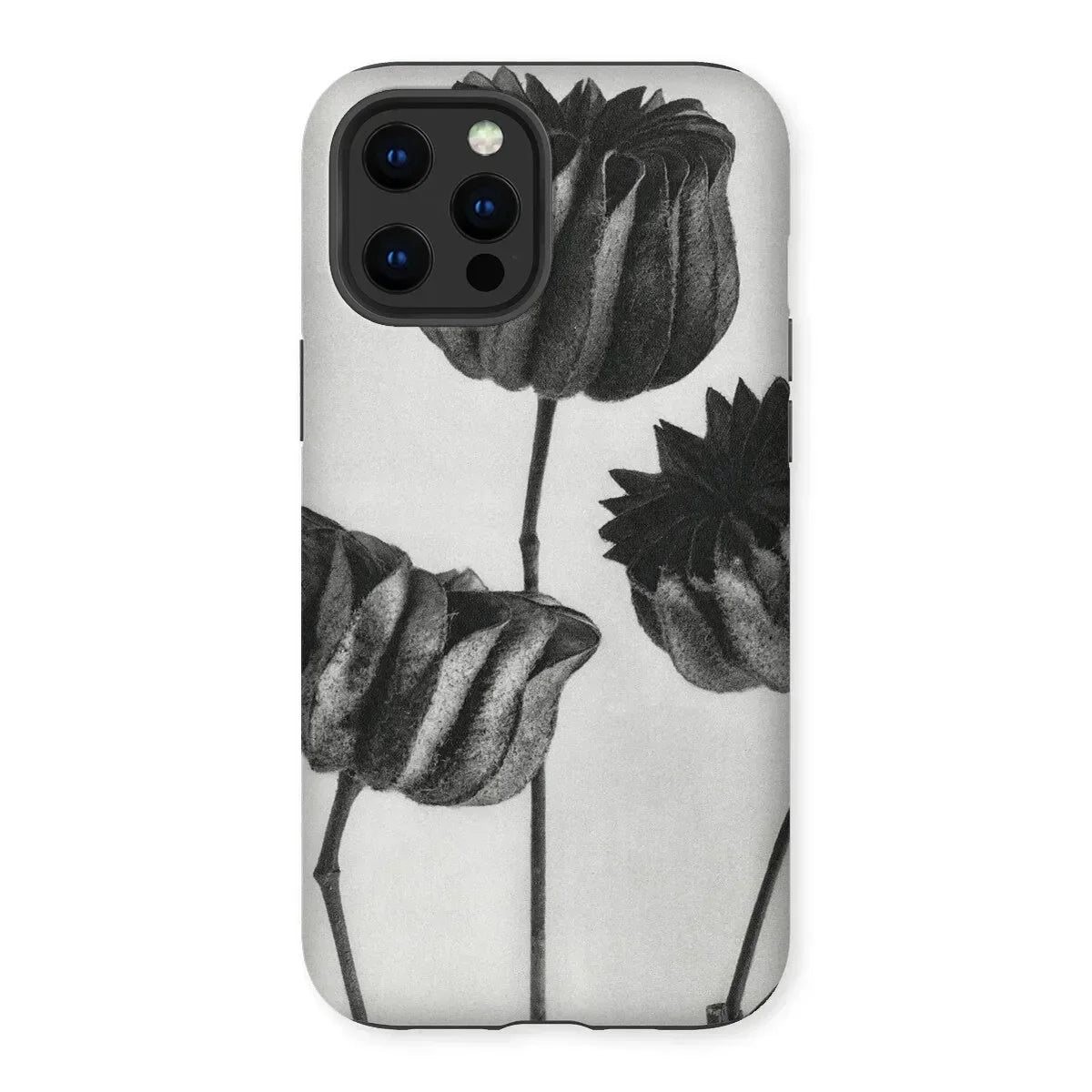 Abutilon (lime Mallow) Pod - Karl Blossfeldt Iphone Case, 13 Pro Max / Matte, Iphone Case Black White Floral Design Tulips