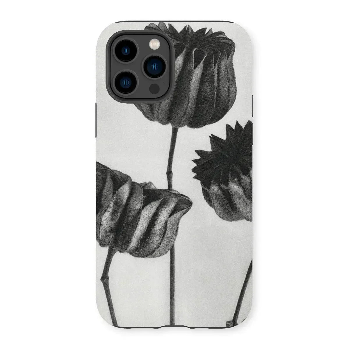Abutilon (lime Mallow) Pod - Karl Blossfeldt Iphone Case, 14 Pro / Matte, Iphone Case Black White Floral Design Tulips