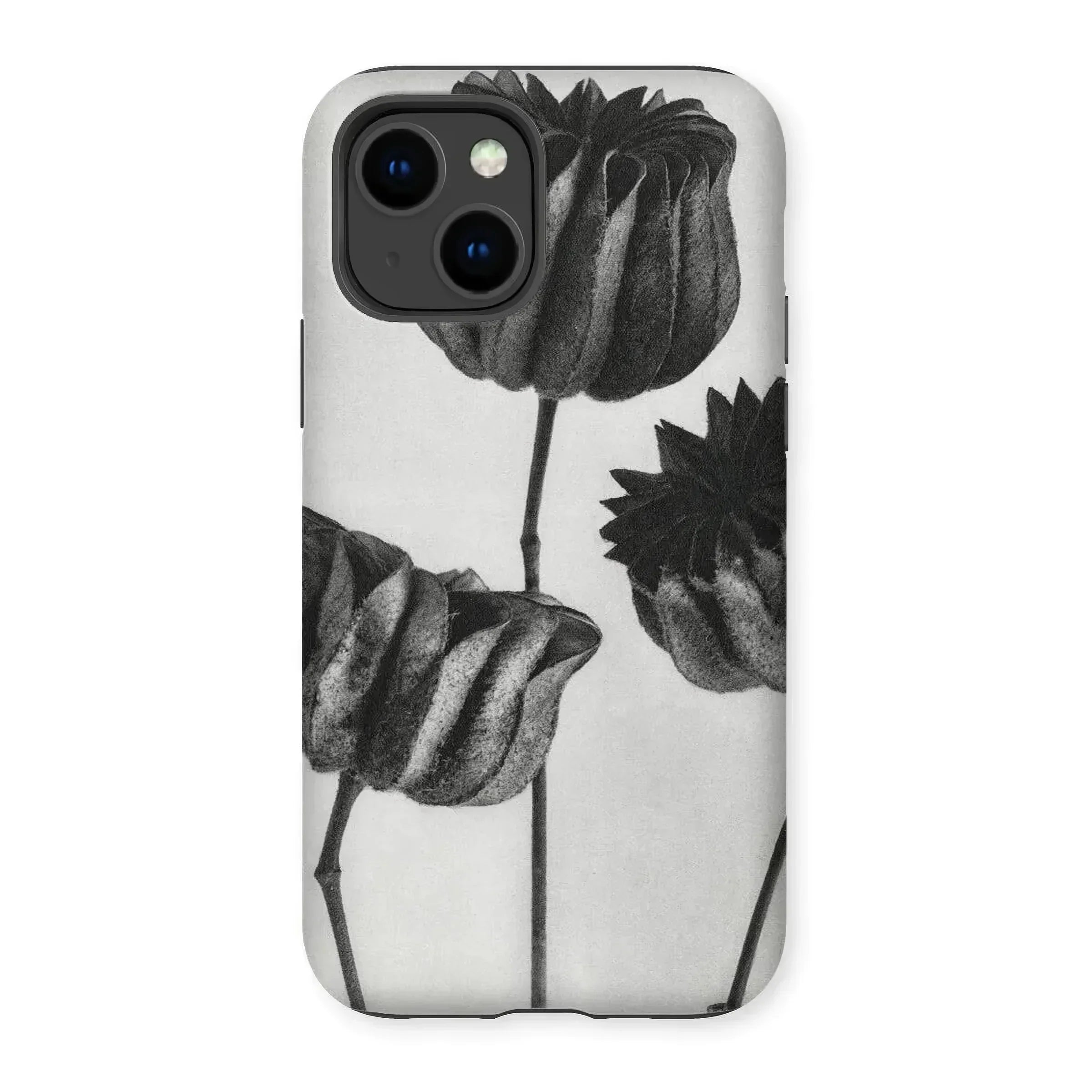 Abutilon (lime Mallow) Pod - Karl Blossfeldt Iphone Case, Iphone Case Black White Floral Design Tulip-like Flowers