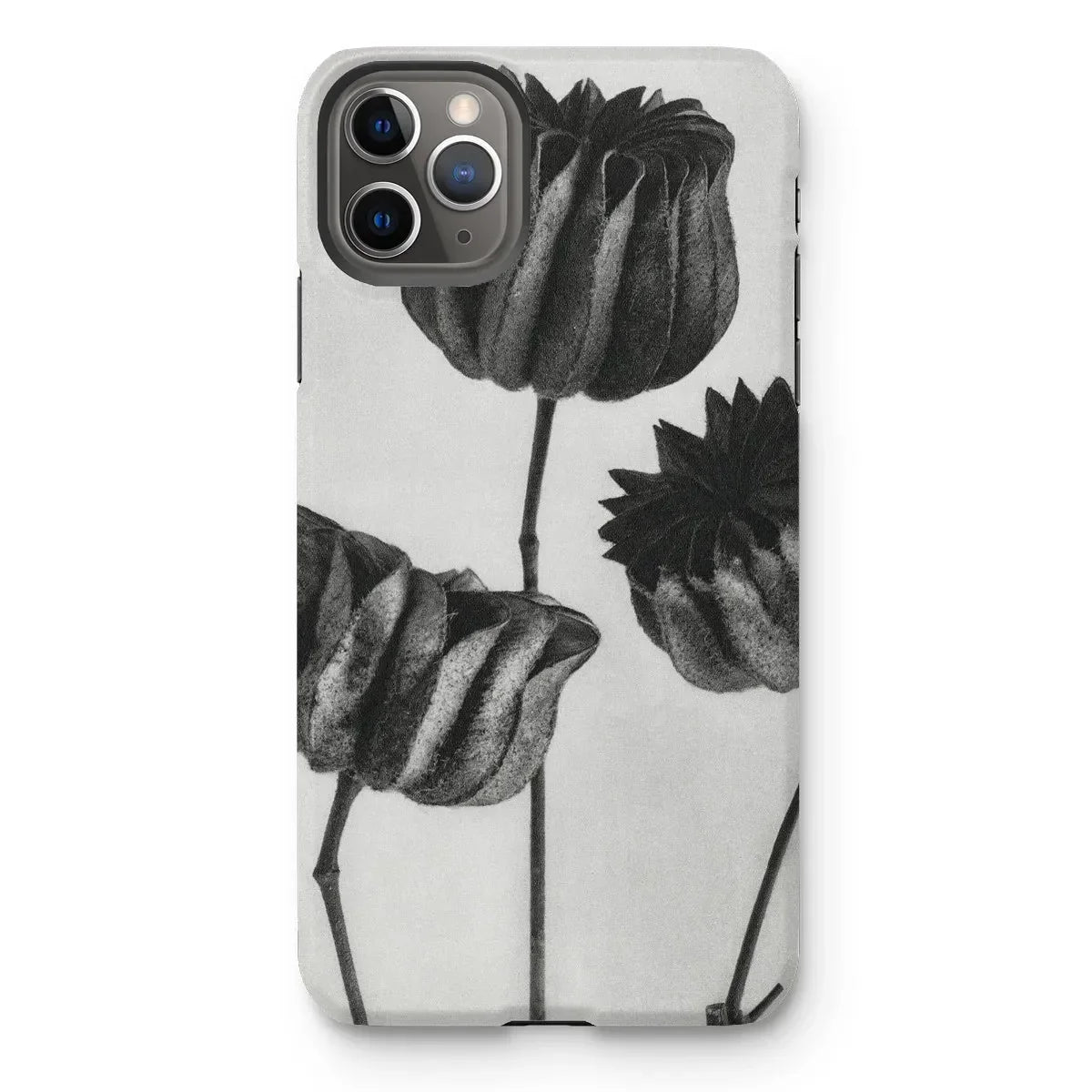 Abutilon (lime Mallow) Pod - Karl Blossfeldt Iphone Case Mobile Phone Cases