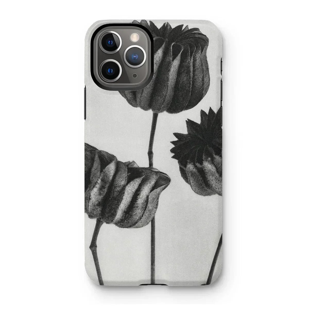 Abutilon (lime Mallow) Pod - Karl Blossfeldt Iphone Case - 11 Pro / Matte