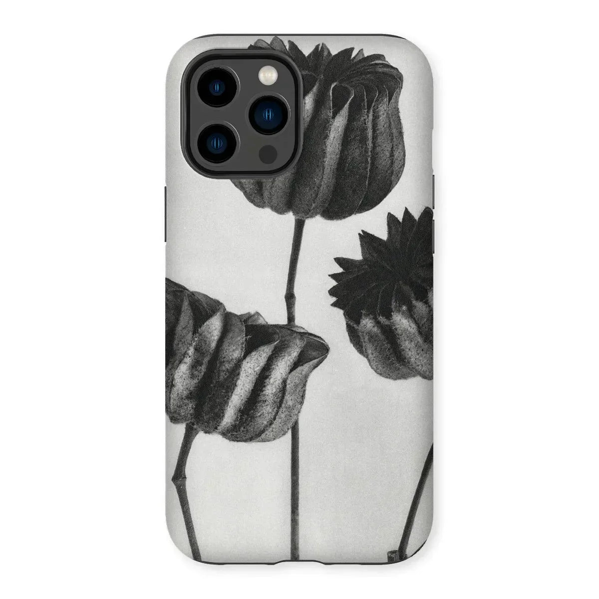 Abutilon (lime Mallow) Pod - Karl Blossfeldt Iphone Case, Iphone Case Black White Floral Design Tulips